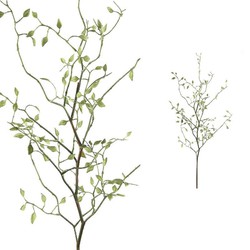 PTMD Twig Plant Groene Kruiden Kunsttak - 60 x 33 x 94 cm - Groen