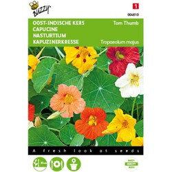 2 stuks - Tropaeolum majus Tom Thumb gemengd