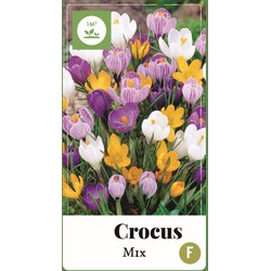 2 stuks - Crocus Mix 80 bollen