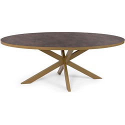 Stalux Ovale eettafel 'Mees' 210 x 100cm, kleur goud / lederlook bruin