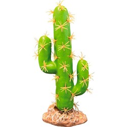 Repto Aquadistri plant cactus san pedro