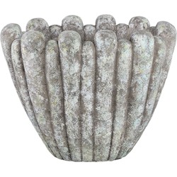PTMD Minter Grey cement pot organic shape oval high L