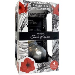 Bloembol Rode Amaryllis Wax kaarsvet Gloss Zilver cadeauverpakking 'Plastic' Kebol