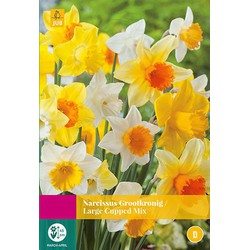 3 stuks - Narcissus Grootkronig mix 12 bollen