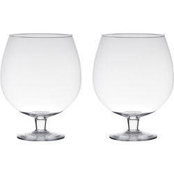 2x stuks luxe stijlvolle Brandy bloemenvaas/bloemenvazen 24 cm transparant glas - Vazen