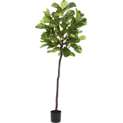 Hoyz Greenery - Kunstplant Ficus Tabaksplant 210 cm