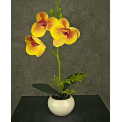 Greenmoods Kunst Orchidee - Phalaenopsis - Nep plant - 1 Stuk - 28cm - Geel/Rood