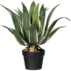 Kopu® Kunstplant Agave Variegeta 57 cm in zwarte Pot - 25 bladeren