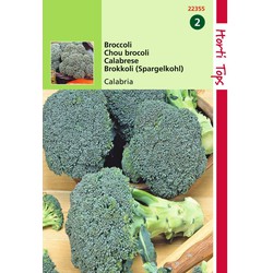 2 stuks - Broccoli Calabria