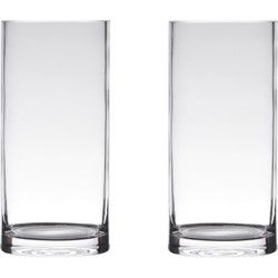 Hakbijl Glass Vaas - Set van 2x stuks - cilinder vorm - transparant - 40 x 12 cm - Vazen