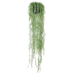 Seidenpflanze Hängepflanze mit Topf Senecio Kunstpflanze Kollektion - Driesprong Collection