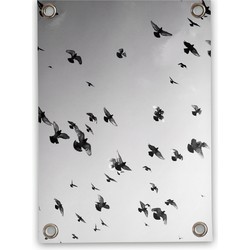 Tuinposter Vogels zwart wit (50x70cm)