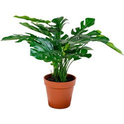 Monstera - artificial plant 45 cm
