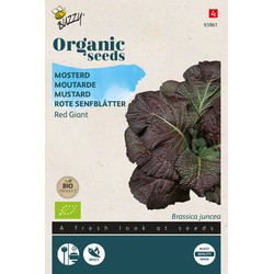 Organic Mosterd Red Giant (BIO)