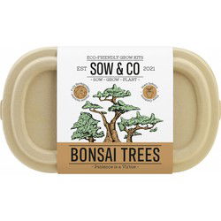 Gift Republic Bonsai Bomen