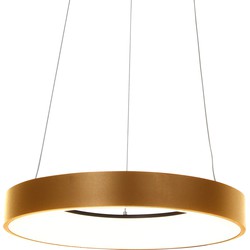 Hanglamp met ring Steinhauer Ringlede Goud