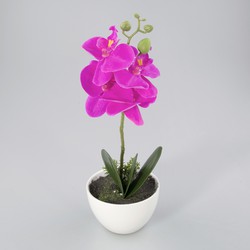 Orchidee in kunststof pot lavendel M - Oosterik Home