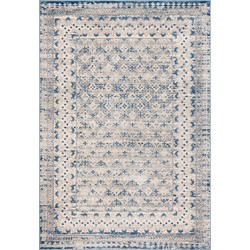 Safavieh Traditional Indoor Woven Area Rug, Brentwood Collection, BNT899, in Light Grey & Blue, 183 X 274 cm