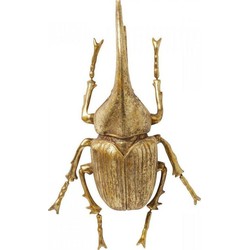 Kare Wanddecoratie Herkules Beetle Gold