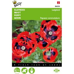 5 stuks - Papaver commutatum Lady Bird Tuinplus