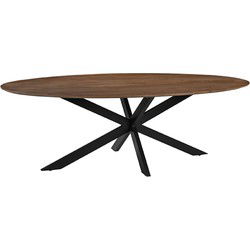 Eettafel James 210x100x76 cm