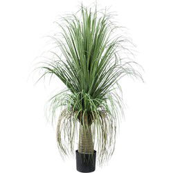 PTMD Kunstboom Coconut - 74x70x101 cm - Polyester - Groen