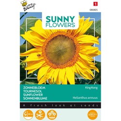 3 stuks - Sunny flowers king kong - Buzzy
