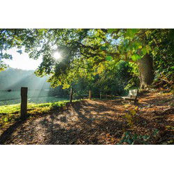 Tuinschilderij morning md 130x70