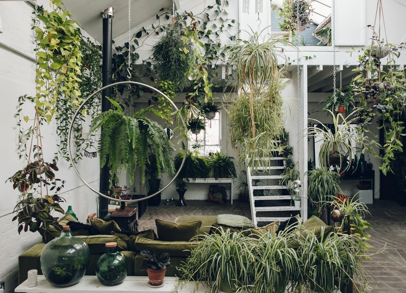 Wow! Zo veel kamerplanten zuiveren de lucht pas écht