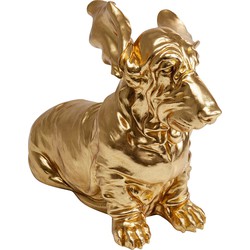 Kare Decofiguur Coiffed Dog Gold 52cm