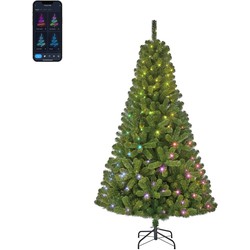 Black Box Trees Slimme Verlichting Kerstboom - 127x127x215 cm - Groen
