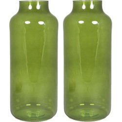 Set van 2x bloemenvazen - groen/transparant glas - H35 x D15 cm - Vazen