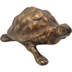 Deco. Schildpad - Antiek Goud