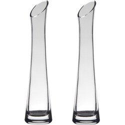 Set van 2x stuks glazen flutes rode roos/rozen smalle vaas 25 x 6 cm - Vazen