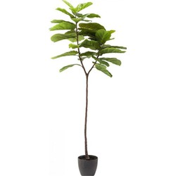 Kunstplant Leaf Tree 170cm