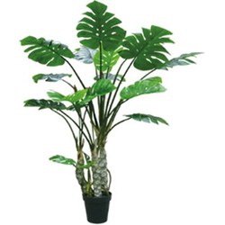 Kunstplant Monstera 4 stam 170 cm