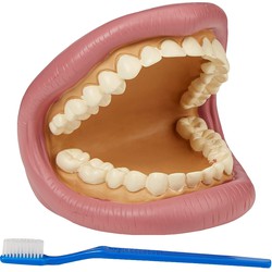 TickiT TickiT Giant Teeth Dental Kit