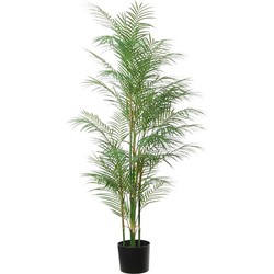 Louis Maes ArecaA Palm kunstplant - 145cm - kunststof - Goudpalm - Kunstplanten