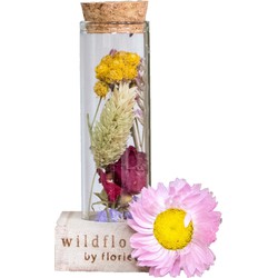 Droogbloemen in glas – Meerkleurig –  Incl. Fles – Maat S –  ↕10 cm
