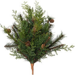 Cypress tak b20h50 cm groen