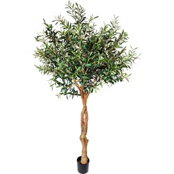 Greenmoods Olijfboom  - Olea europaea - Nep plant - 1 Stuk - 190cm - Groen -