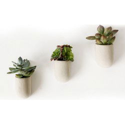 Gift Republic Magnetische Plantenpot - Set van 3