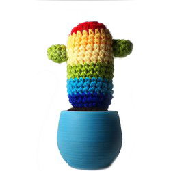 Mosterd Cactus Regenboog