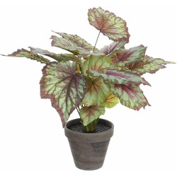 Mica Decorations Kunstplant - begonia - rood - in pot - 38 x 40 cm - Kunstplanten