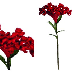 Garden Flower - 40.5 x 25.0 x 80.0 cm