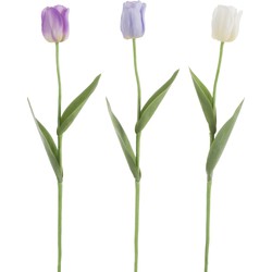 Tulp | Kunststof | Wit - Paars | 7x7x (h)67 Cm