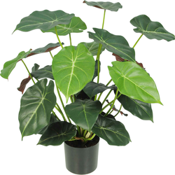 Hoyz Greenery - Kunstplant Syngonium deluxe 58 cm