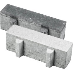 Aqua Brick 22% open waterpasserende aqua bricks 10x30x8 cm zwart prijs per m2
