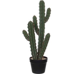 Mica Decorations cactus in plastic pot maat in cm: 23 x 18 x 71cm