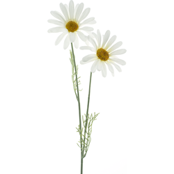 Daisy Cordoba spray white 56 cm kunstbloem - Nova Nature